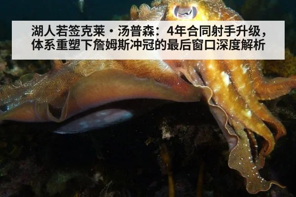 湖人若签克莱·汤普森：4年合同射手升级，体系重塑下詹姆斯冲冠的最后窗口深度解析