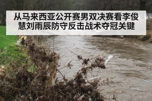 从马来西亚公开赛男双决赛看李俊慧刘雨辰防守反击战术夺冠关键